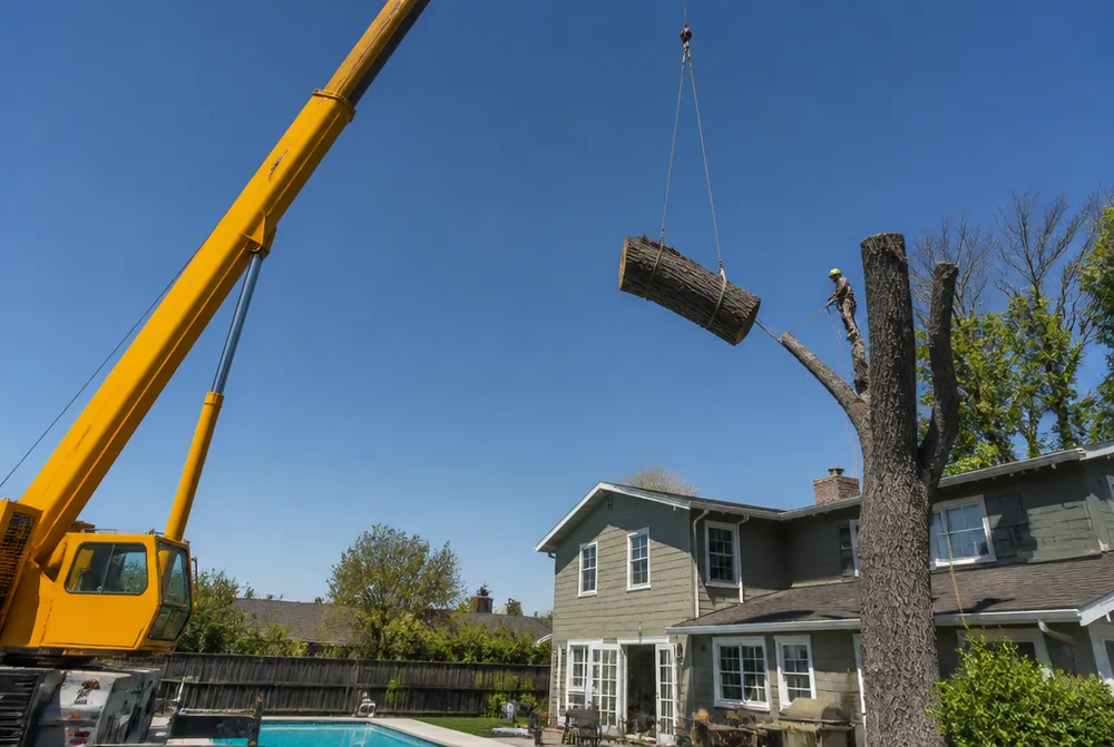 Crane lifting a cut tree section away from a house during a careful removal