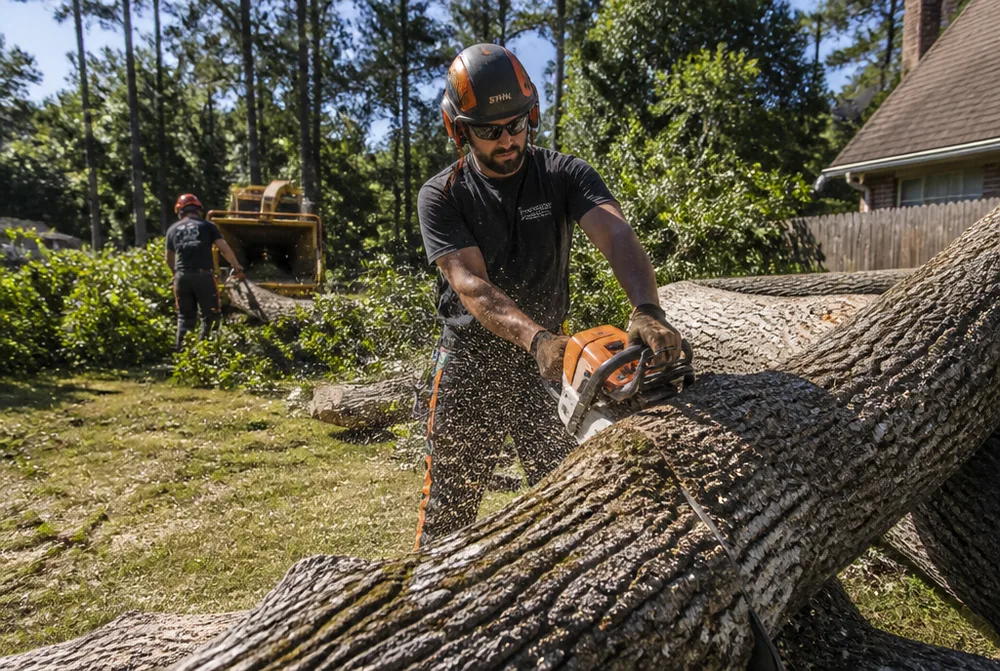 Tree service crew cutting a large fallen tree trunk in a Huntsville, AL yard