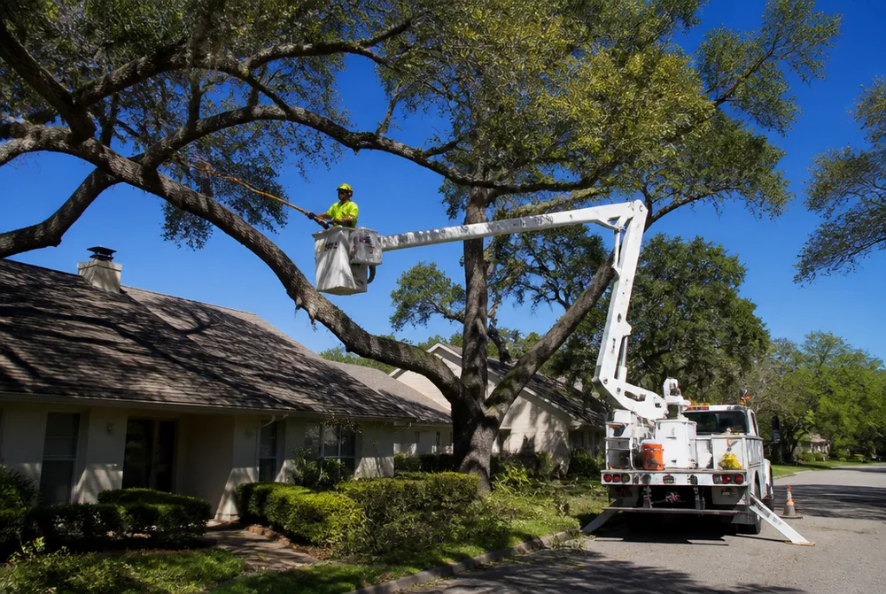 Arborist trimming tree branches from a bucket truck near a rooftop